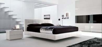 Black and White Color Combination