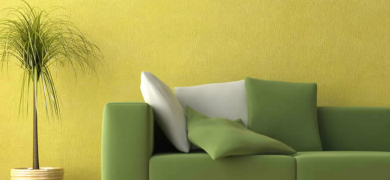 house and interior painting ideas